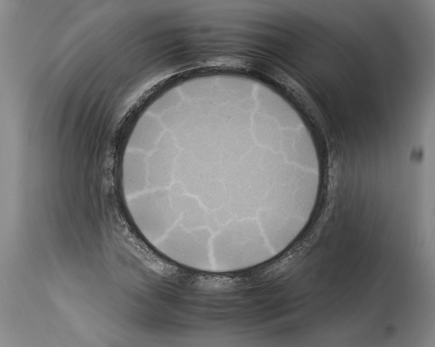 X0000113931019200911061214