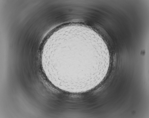 X0000113931021200911061214