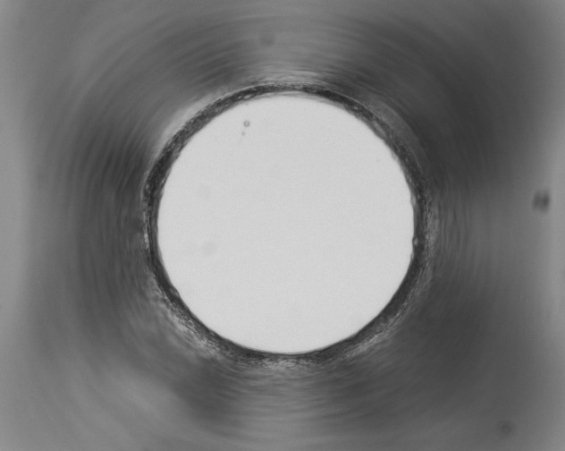 X0000113931022200911061214