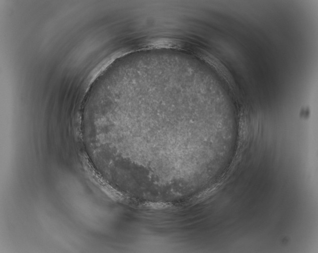 X0000113931023200911061214