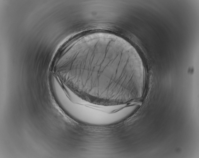 X0000113931024200911061214