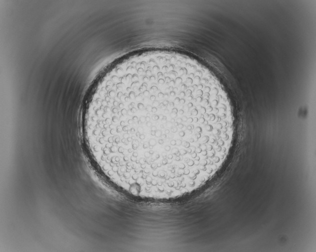 X0000113931030200911061214