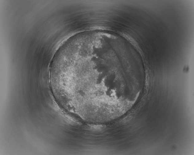X0000113931031200911061214