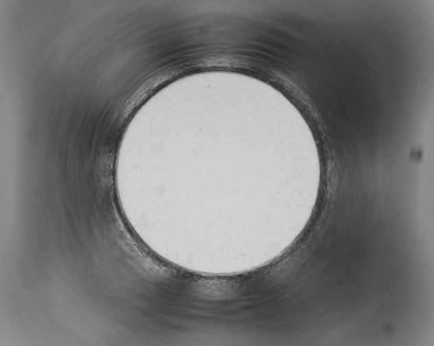X0000113931033200911061214