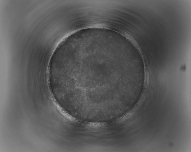X0000113931037200911061214