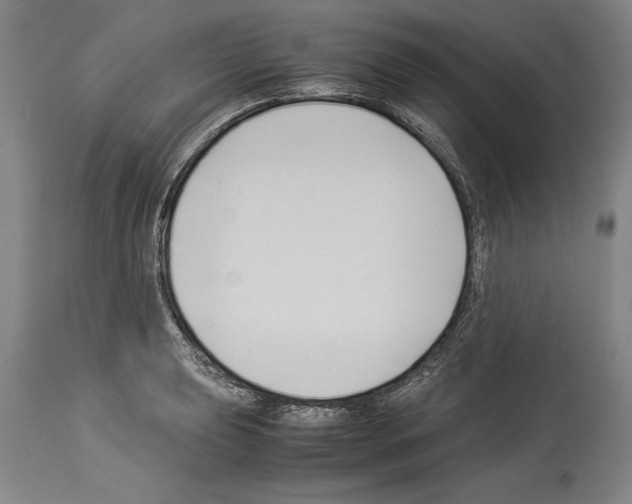 X0000113931039200911061214