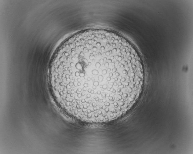 X0000113931040200911061215