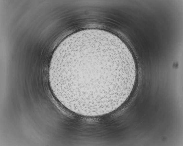 X0000113931041200911061215