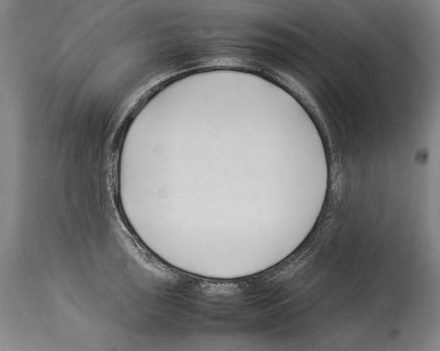 X0000113931043200911061215