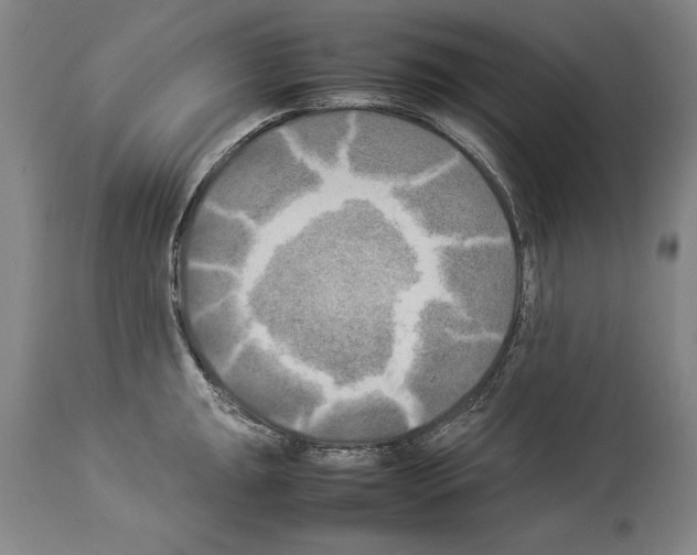 X0000113931047200911061215