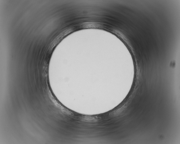 X0000113931049200911061215