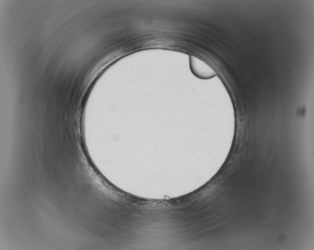 X0000113931050200911061215