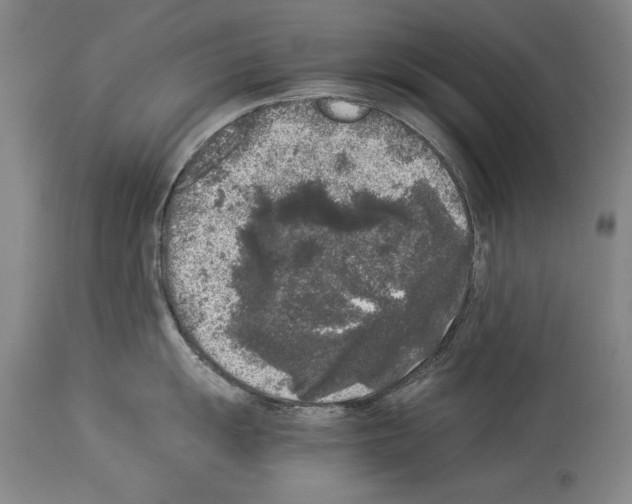 X0000113931055200911061215