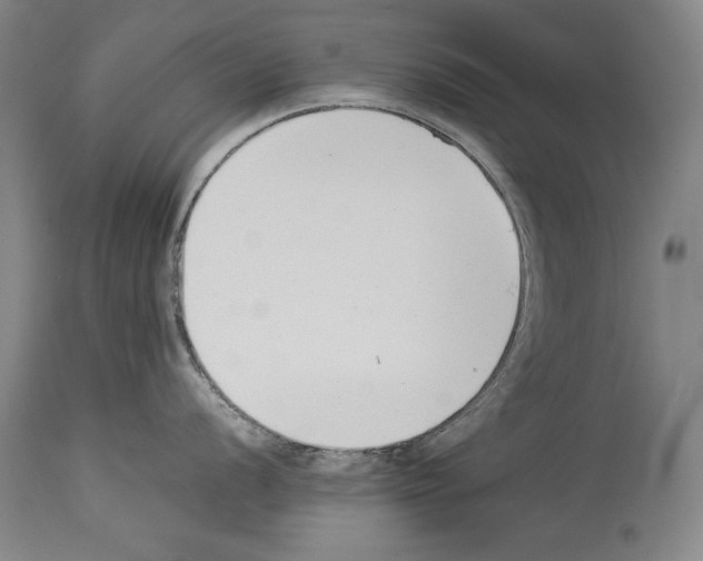 X0000113931056200911061215