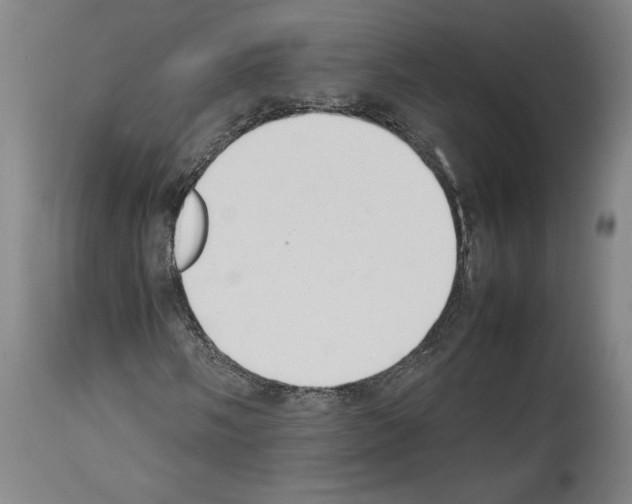 X0000113931058200911061214