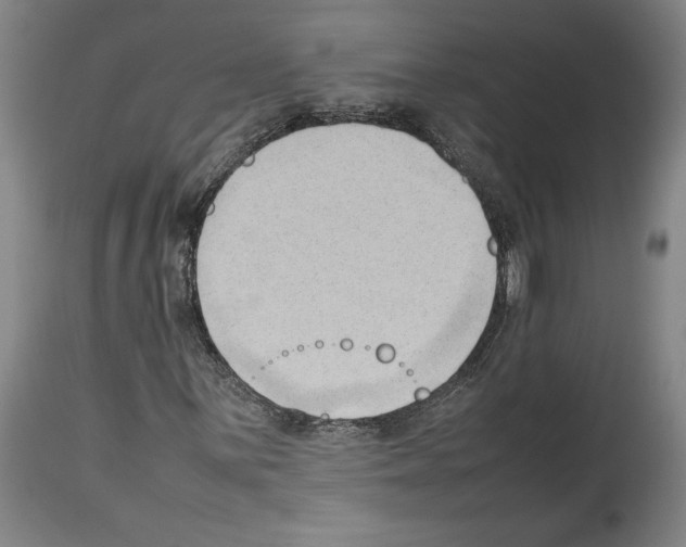 X0000113931059200911061214
