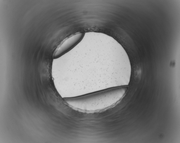 X0000113931060200911061214