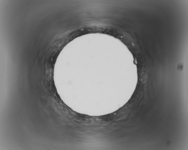 X0000113931061200911061214