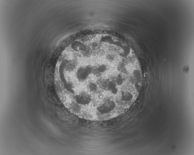 X0000113931063200911061214