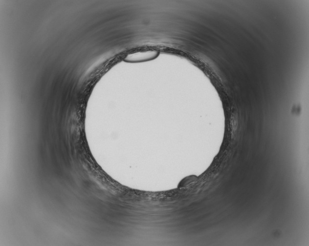 X0000113931064200911061214