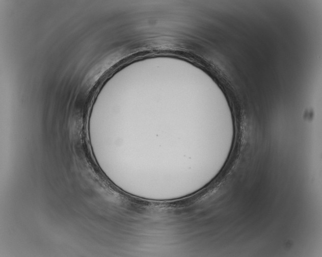 X0000113931065200911061214