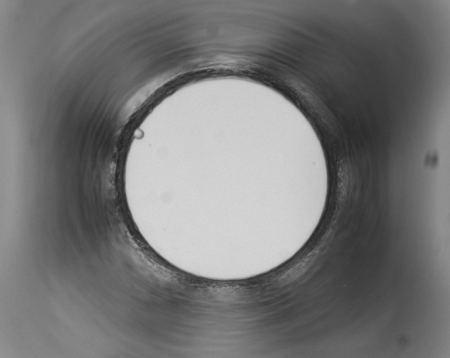 X0000113931066200911061214