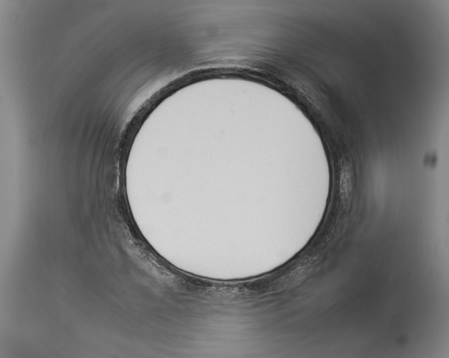X0000113931069200911061214