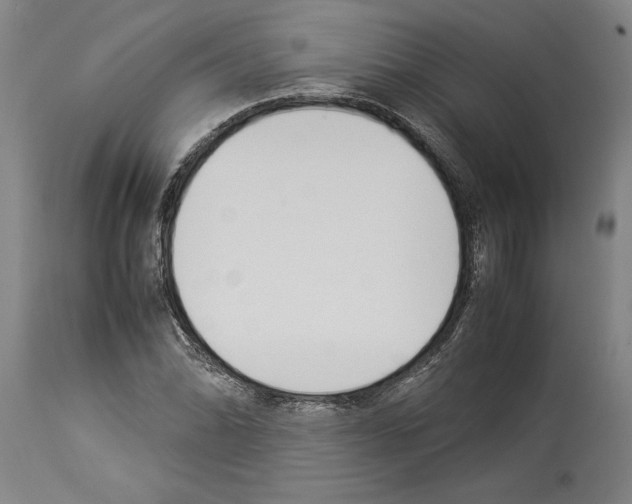 X0000113931070200911061214