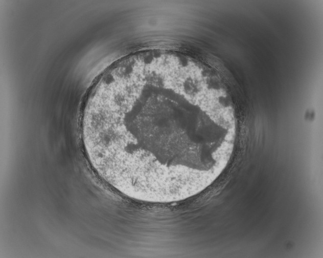 X0000113931071200911061214