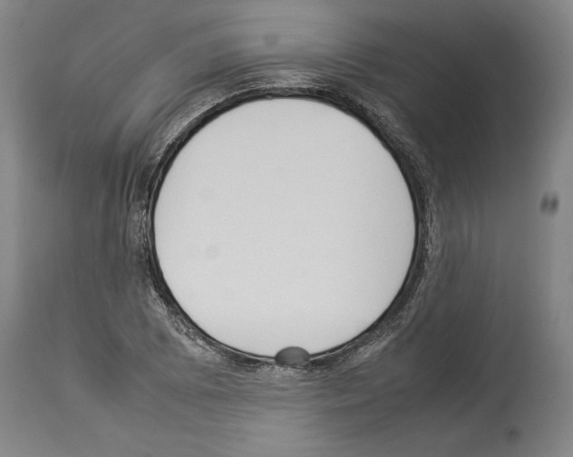 X0000113931073200911061214