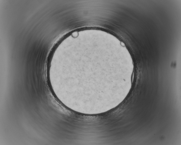 X0000113931076200911061214