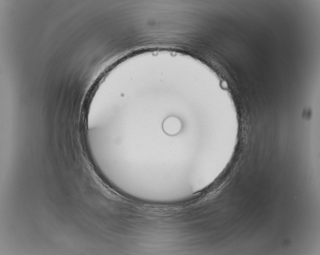 X0000113931077200911061214