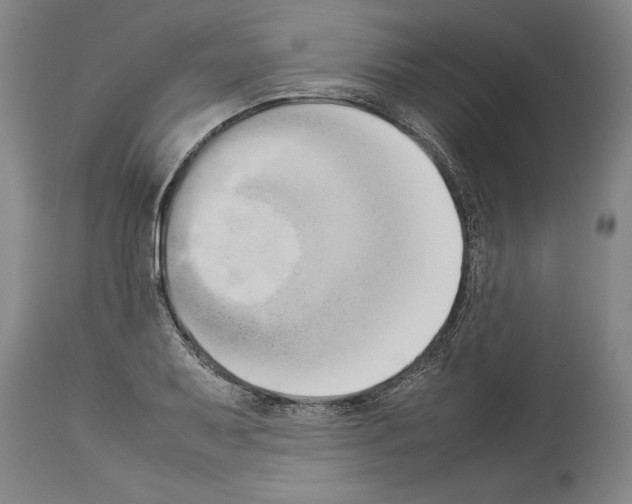 X0000113931079200911061214