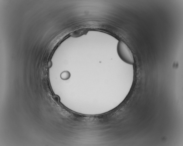 X0000113931081200911061214