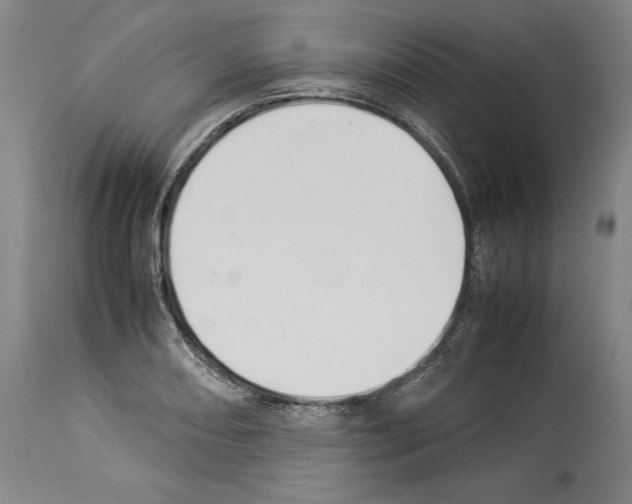X0000113931082200911061214