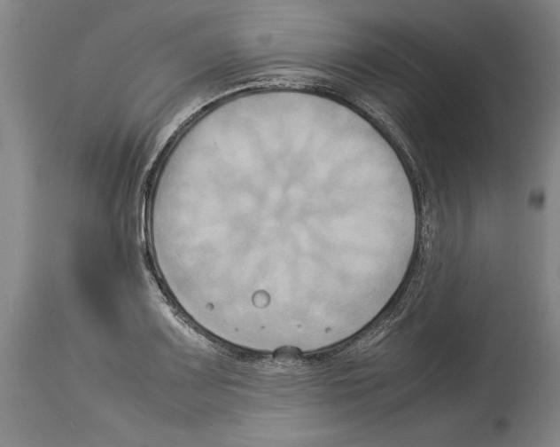 X0000113931083200911061214