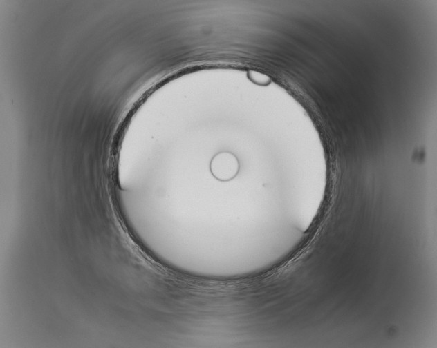 X0000113931085200911061214
