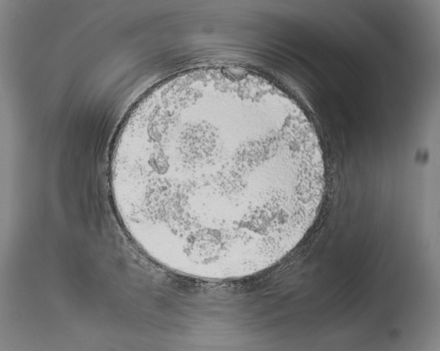 X0000113931087200911061214