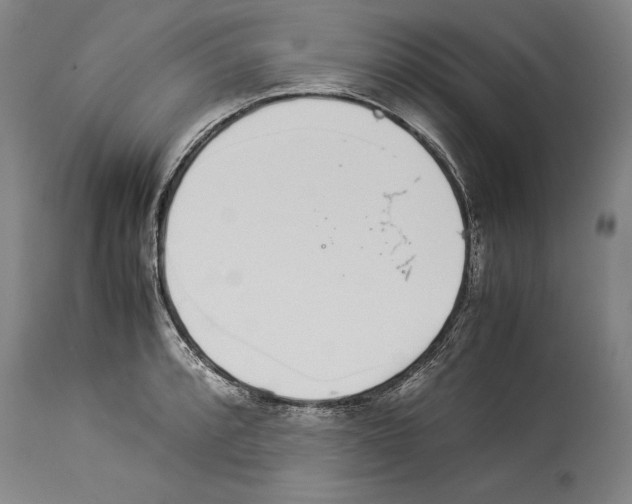 X0000113931088200911061214