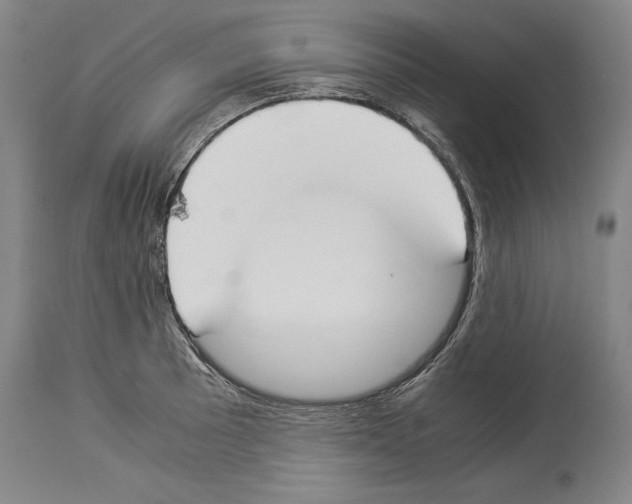 X0000113931089200911061214