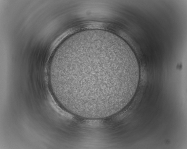 X0000113931090200911061214