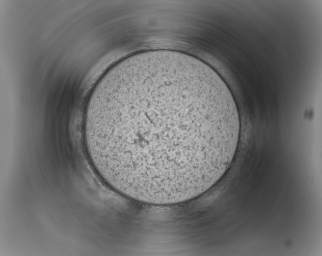 X0000113931094200911061214