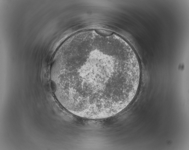 X0000113931097200911061214
