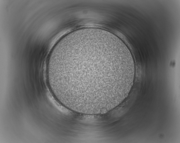 X0000113931098200911061213