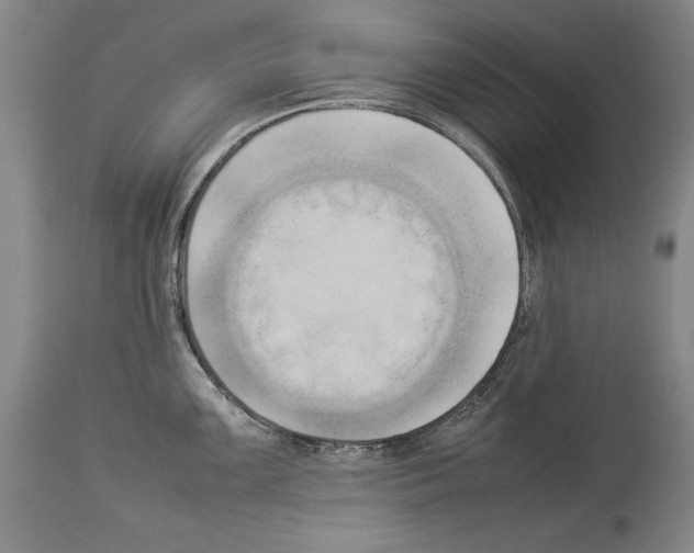 X0000113931099200911061213