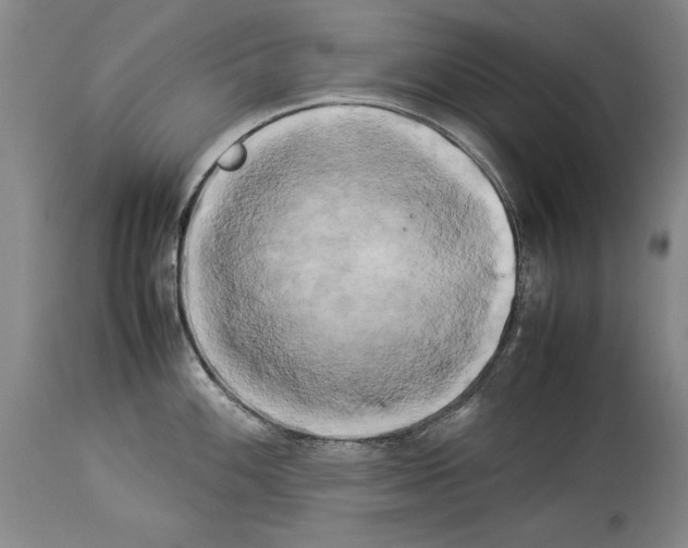 X0000113931100200911061213