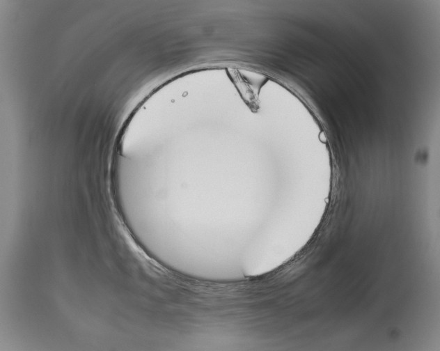 X0000113931101200911061213