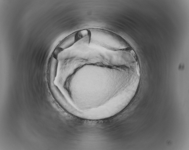 X0000113931104200911061213
