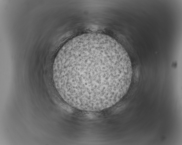 X0000113931105200911061213