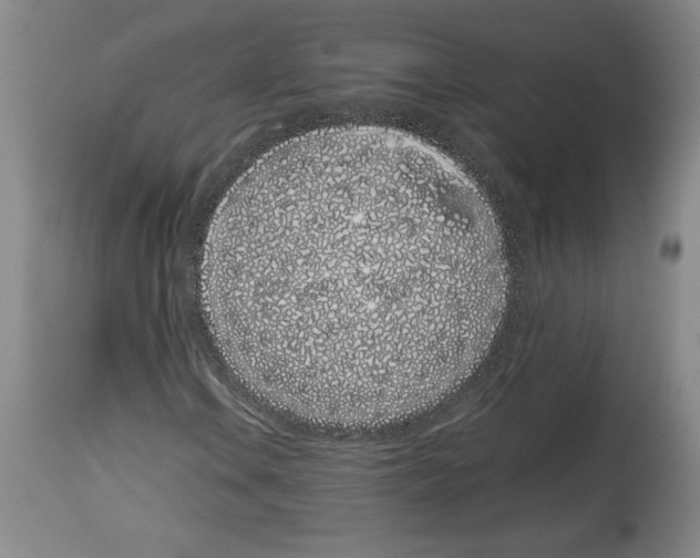 X0000113931106200911061213